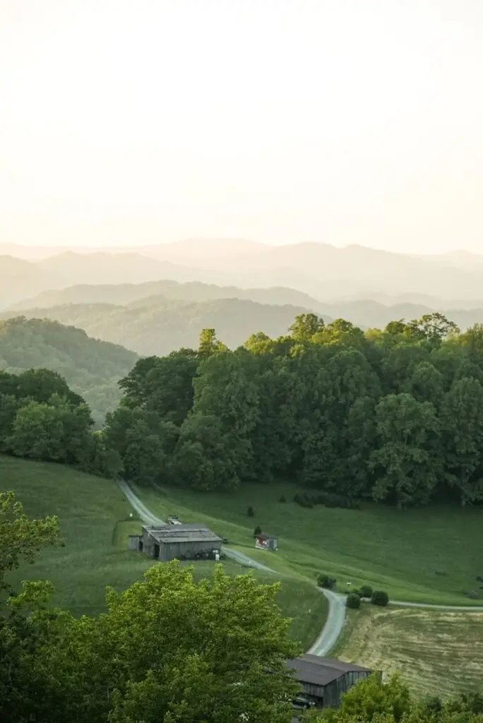 Photo "Comparing Living Costs Virginia vs North Carolina"