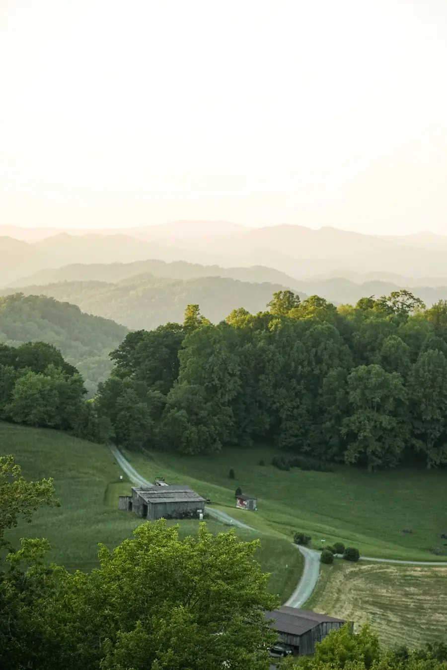 Cost of Living: Virginia vs. North Carolina